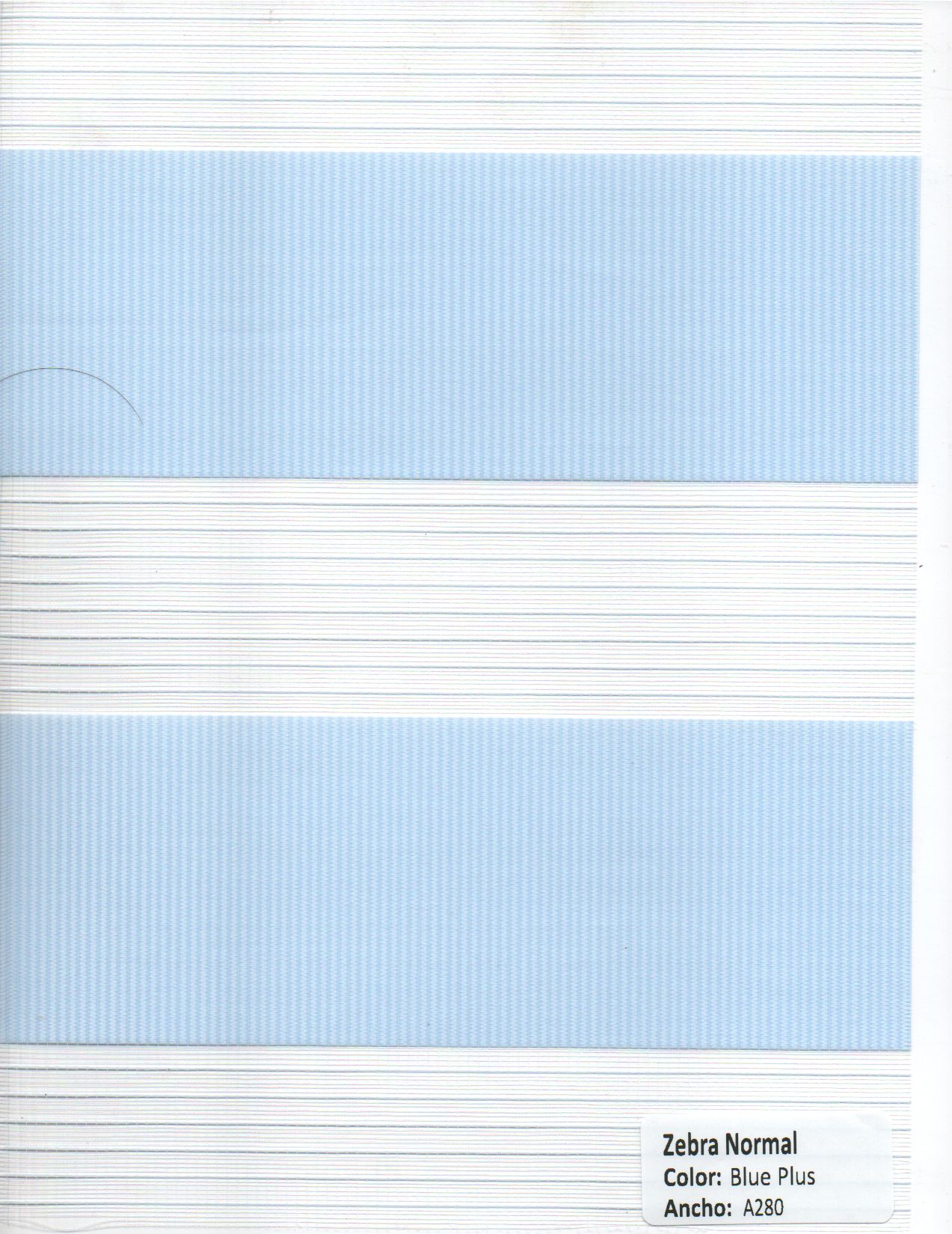 Zebra Normal Blue